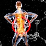régime pauvre FODMAP